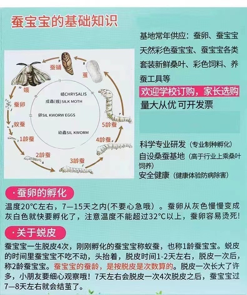 05087638-cdfe-427e-914f-a211e6bb4dd9.jpe