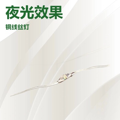 圣诞节装饰气球灯波波球灯铜线灯串led铜丝电池盒灯户外装饰防水