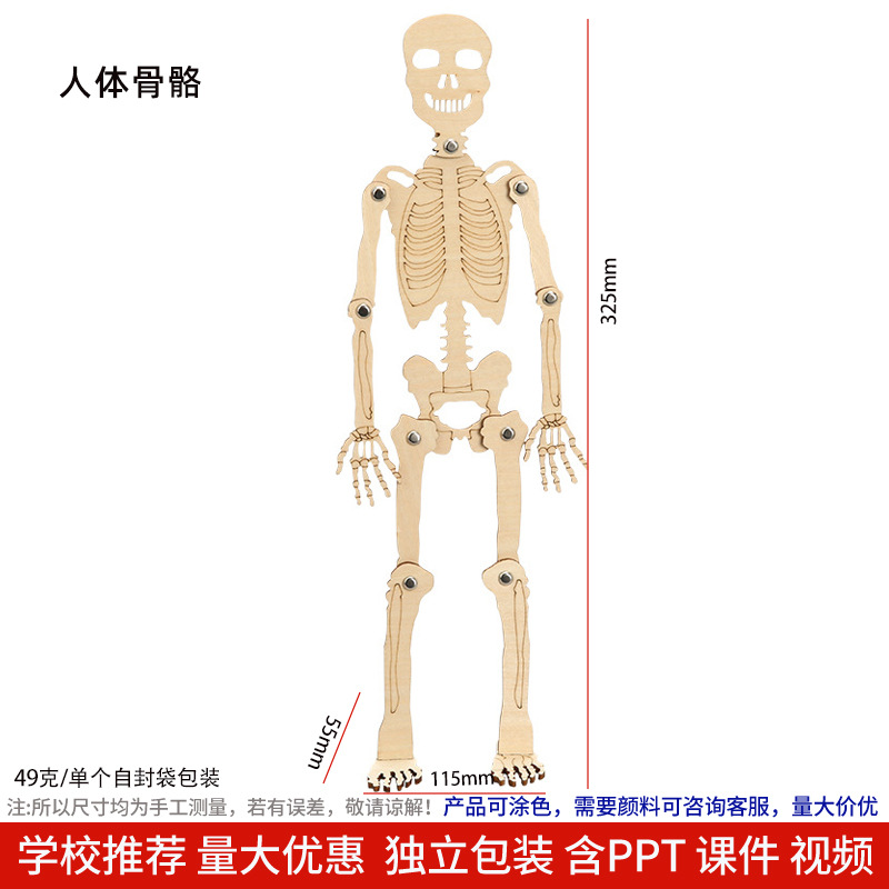 Los niños de Ciencia y Tecnología pequeña producción material didáctico kindergarten hecho a mano DIY experimento científico estudiante regalo juguetes al por mayor