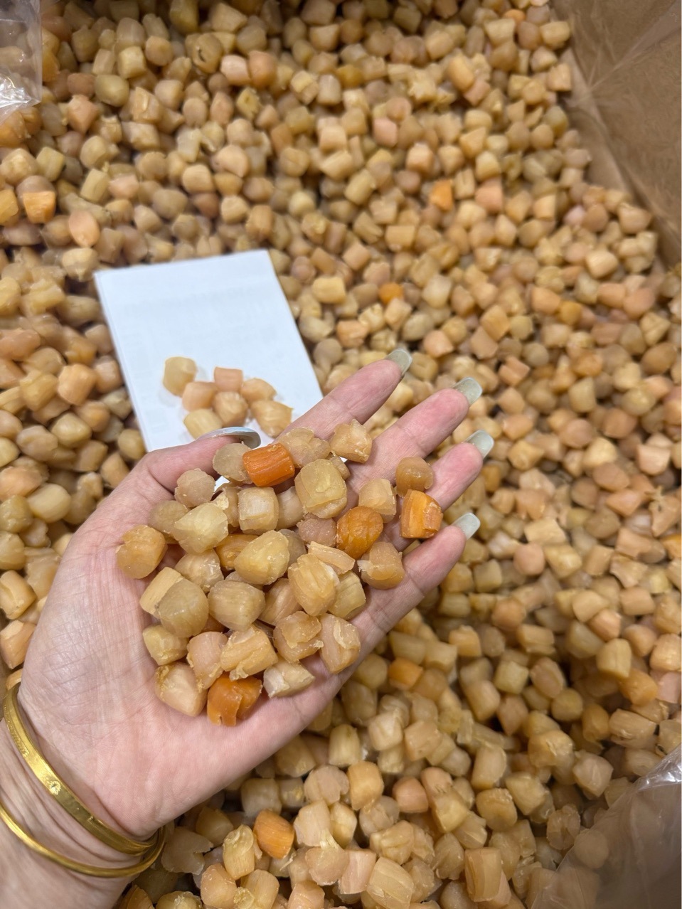 一德路批发干贝瑶柱批发淡干200头350头生晒海鲜干货500g煲粥大连