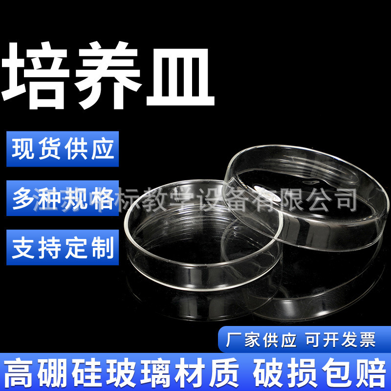 玻璃培养皿 60mm 75mm 90mm 生物教学仪器化学生物实验器材
