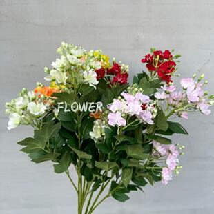 ��֦���Ļ����滨��Y��ܛ�b�ٻ� 3�^��ޱ���zӰӰ�����ղ��õ���