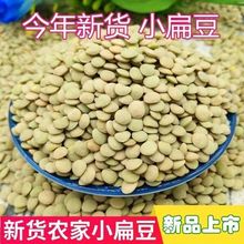 新小扁豆甘肃天水特产农家扁豆子红扁豆兵豆五谷杂粮包邮正宗发芽