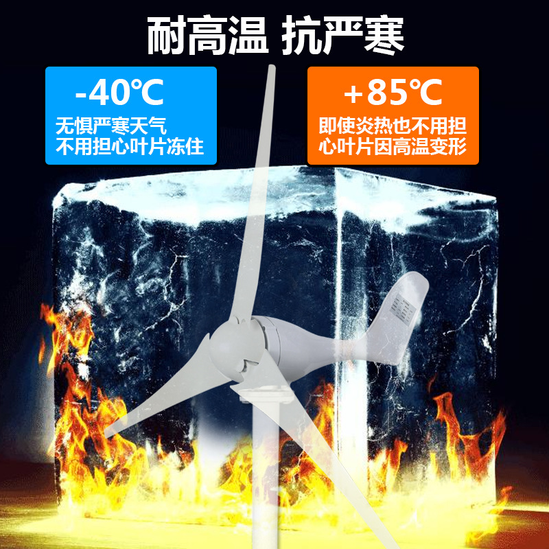 风力发电机家用220V小型风能大功率12v24v永磁带风光发电丁欧