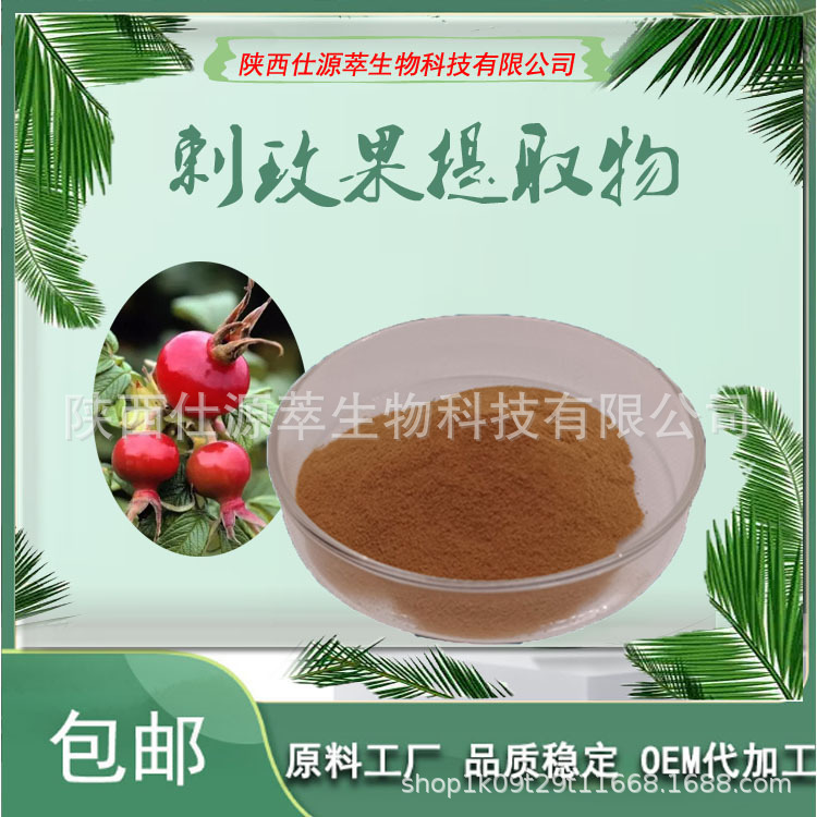 玫瑰果提取物 植物VC10% 刺玫果粉 源头厂家 现货原料粉