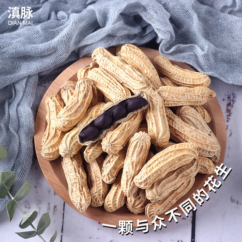 Yunnan's New Arrival Specialty Pu'er Black Peanut with Shell, Original Flavor, Raw or Cooked Available, Retail and Wholesale, Old Variety Black Peanut
