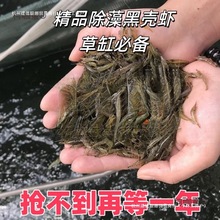 �ښ��r�����r����ײ͵�ˮ�^�p�r���坍�r�쾰�׳��幤���r��̫��