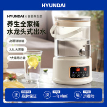 HYUNDAI������ˮ��ͷʽ��ˮ 2.5L����������貣����������ð칫