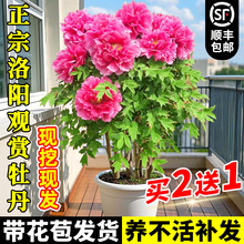ĵ�������������ذ껨��ĵ���������������ڎ�����ĵ�����N�ļ�