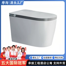 智能马桶;普通马桶