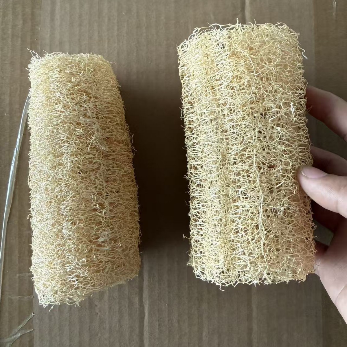 15cm 길이로 자른 것 1개