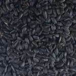 当季新货生油葵料瓜子鸟粮仓鼠原料黑瓜子葵花籽原料散装批发