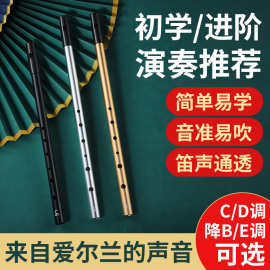 新品跨境乐器爱尔兰哨笛C调D调哨笛小学生用竖笛金属笛子短笛乐器