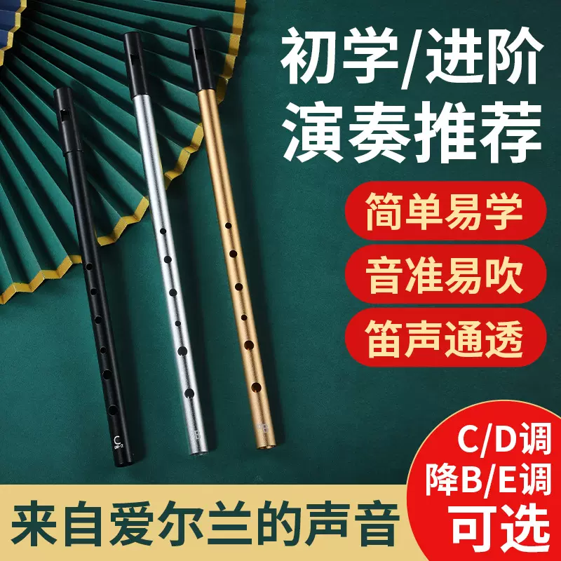 新品跨境乐器爱尔兰哨笛C调D调哨笛小学生用竖笛金属笛子短笛乐器