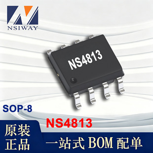 NS4813 �{о�� ESOP-8 3-5.5V 10.3W/11W AB/D��������l����оƬ