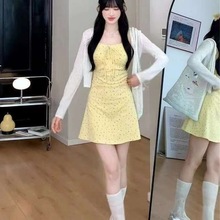 2025Y¿ʽSɫ黨@ݚ|Bȹ_b