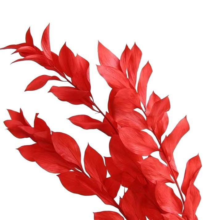 Flores de inmortalidad rojas decoración de boda flores secas de Año Nuevo para dar la bienvenida a los huéspedes frijoles de dragón grasa colgando arroz al por mayor