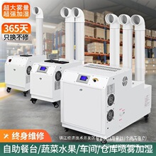 工业加湿器超声波喷雾机增湿商用大型车间烤烟蔬菜纺织回潮除静电