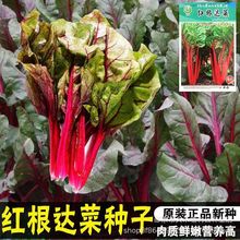 �t���_�˷N���B���t��˷N�Ѽt����ƤţƤ�˷N�Ӵ�ȫ�ļ�ͥԺ�߲�