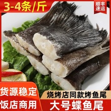 深海冷冻碟鱼尾比目鱼鸦片鱼格陵兰鱼酒店餐饮烧烤自助餐商用批发