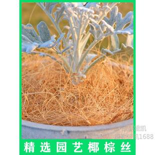 Ҭ�ؽz�b��踲�w�����Ү�z�������ʯ���������B�C�Gֲ���\�M