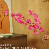 2 fork apple flower