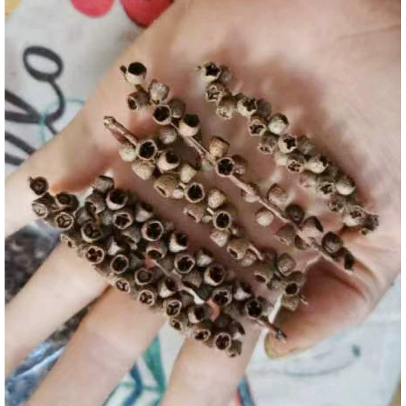 DIY фруктовая раковина Pinecorus деревянный кусочек лист сухоцвета фруктовое сочетание Рождество установленный детский сад украшение винтажное предложение