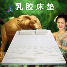 ���z���| ̩���������z���|  ϯ��˼���z���|�� �S��ֱ�N���l