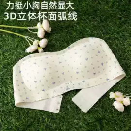 无痕文胸;调整型文胸;无钢圈文胸