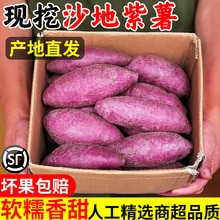 �������r�����t�������ع���������10��ɽ���������߲��r���ԷN