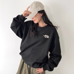 25秋季新款日韩百搭通勤复古简约男女同款NT同色刺绣印花圆领