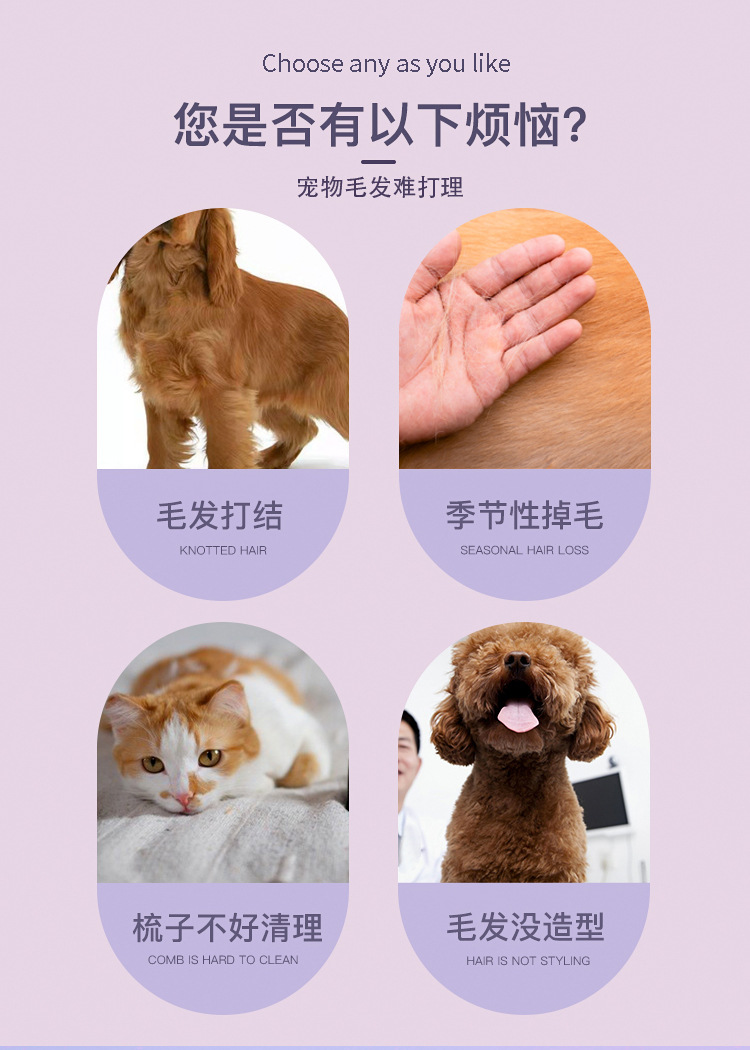 1_03.jpg