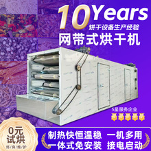 青红辣椒网带式烘干机水果蔬菜烘干设备山楂片木薯片木薯粉烘干箱