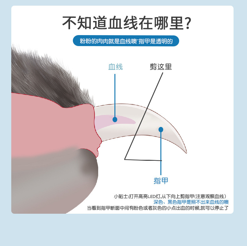 led灯光通用型修指甲狗狗指甲钳宠物指甲剪猫咪指甲刀磨甲器详情10