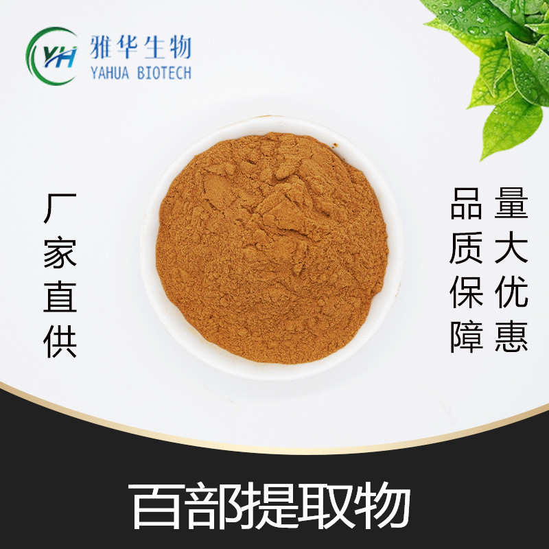 百部提取物10:1 雅华生物 百部萃取粉 百部碱 百部浸膏粉 水溶性