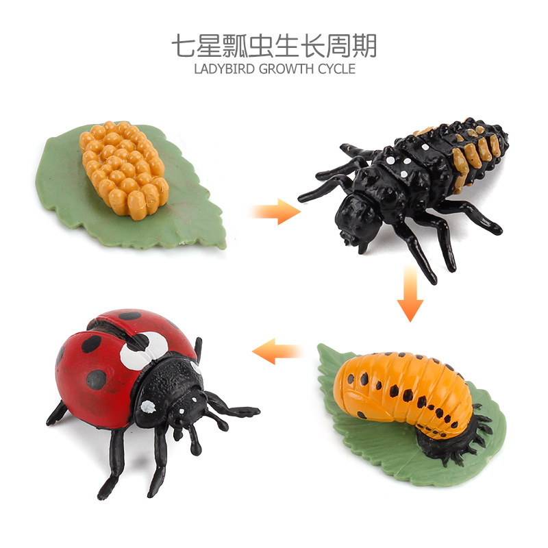 Simulación de exportación transfronteriza de insectos modelo de ciclo de crecimiento animal mariposa abeja Caracol Rana escorpión adornos cognitivos