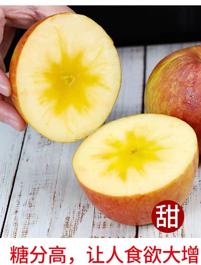 微信图片_202111062048196