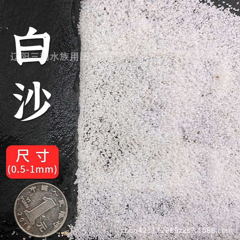 백사장 10g [0.5-1mm] [소량]