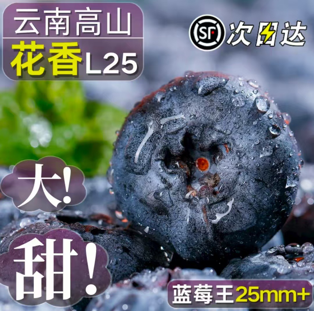 Fresh Yunnan blueberry花香 blueberries fresh fruit 10 boxes large fruit high mountain sweet berry whole case SF Express