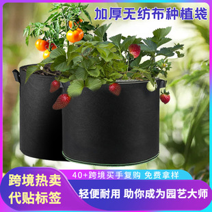 �A�μӺ���ֲ��ֲ��Nֲ��ͥԺ�߲˷N�����ľ������o�����Nֲ��