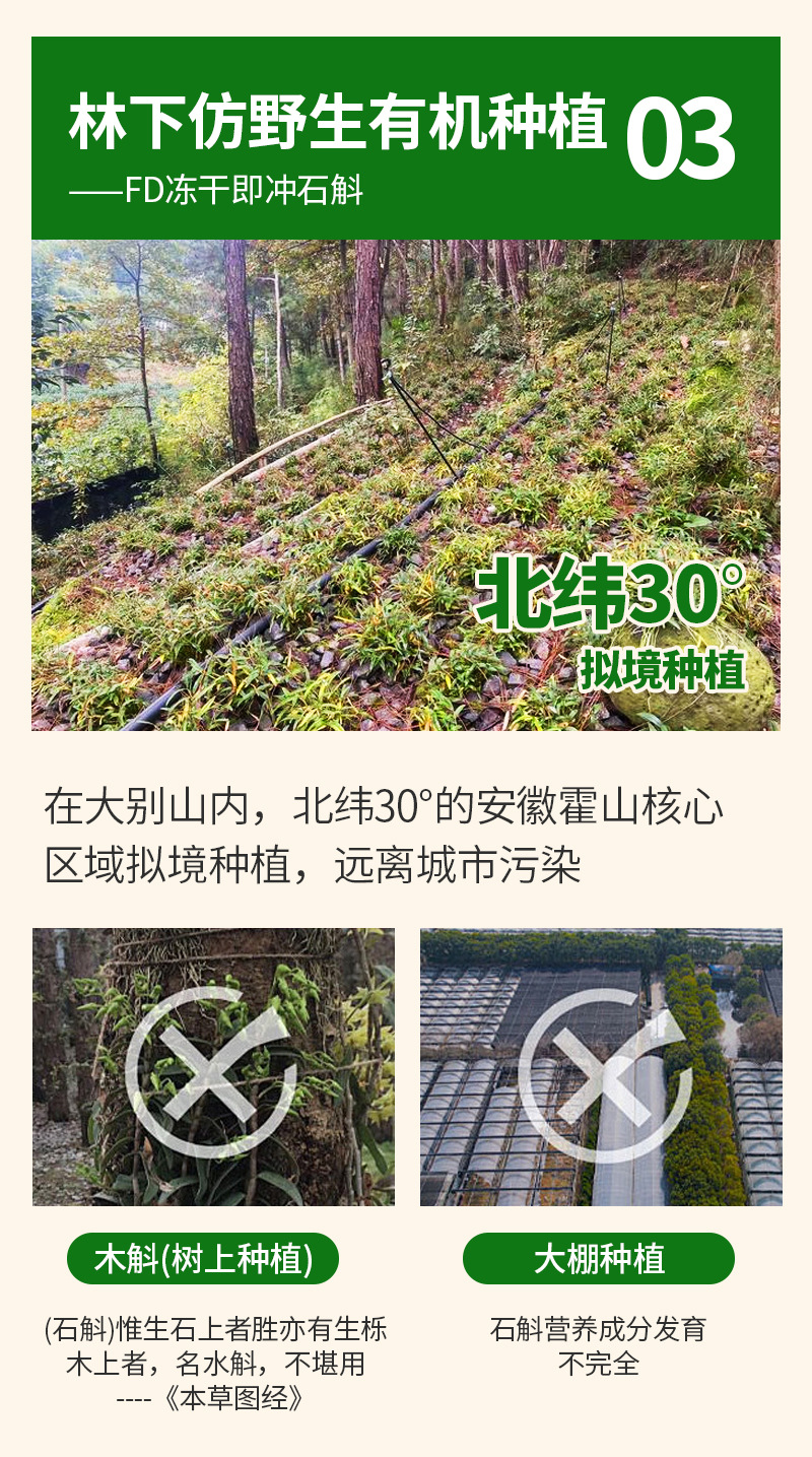 Freeze-Dried Dendrobium Instant Drink (Dendrobium officinale) — Huoshan Shi Hu Extract Powder specifications