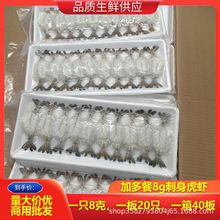 加多餐刺身虎虾8g刺身虎虾冻斑节对虾黑虎虾刺身黑虎虾刺身即食