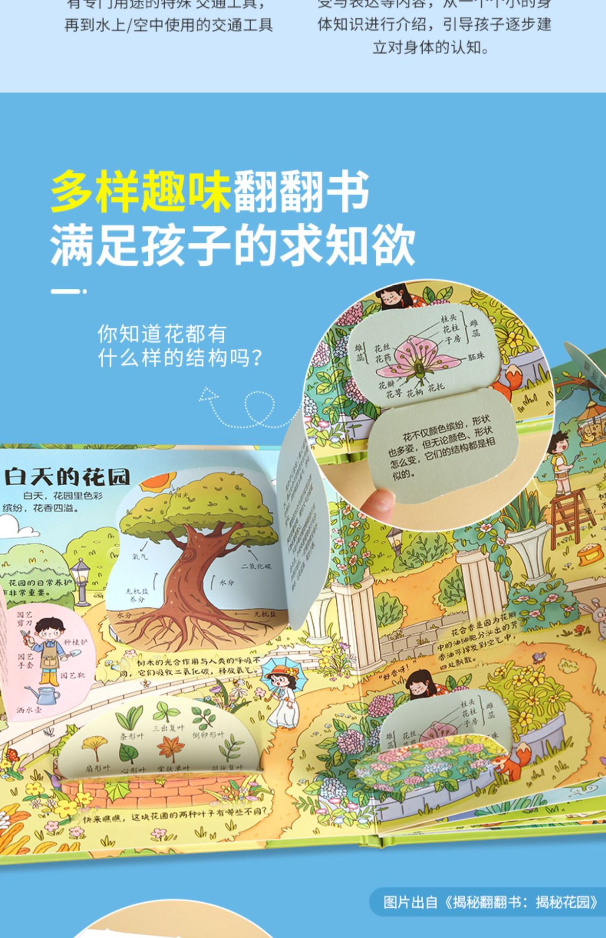 详情图