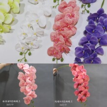 ��c�廨��ɫ�����m�������m�b�Y������·������