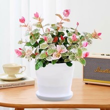 �����~�jʯ��������پGֲ�k���҃����滨������ֲ����B�͟��ͺ�