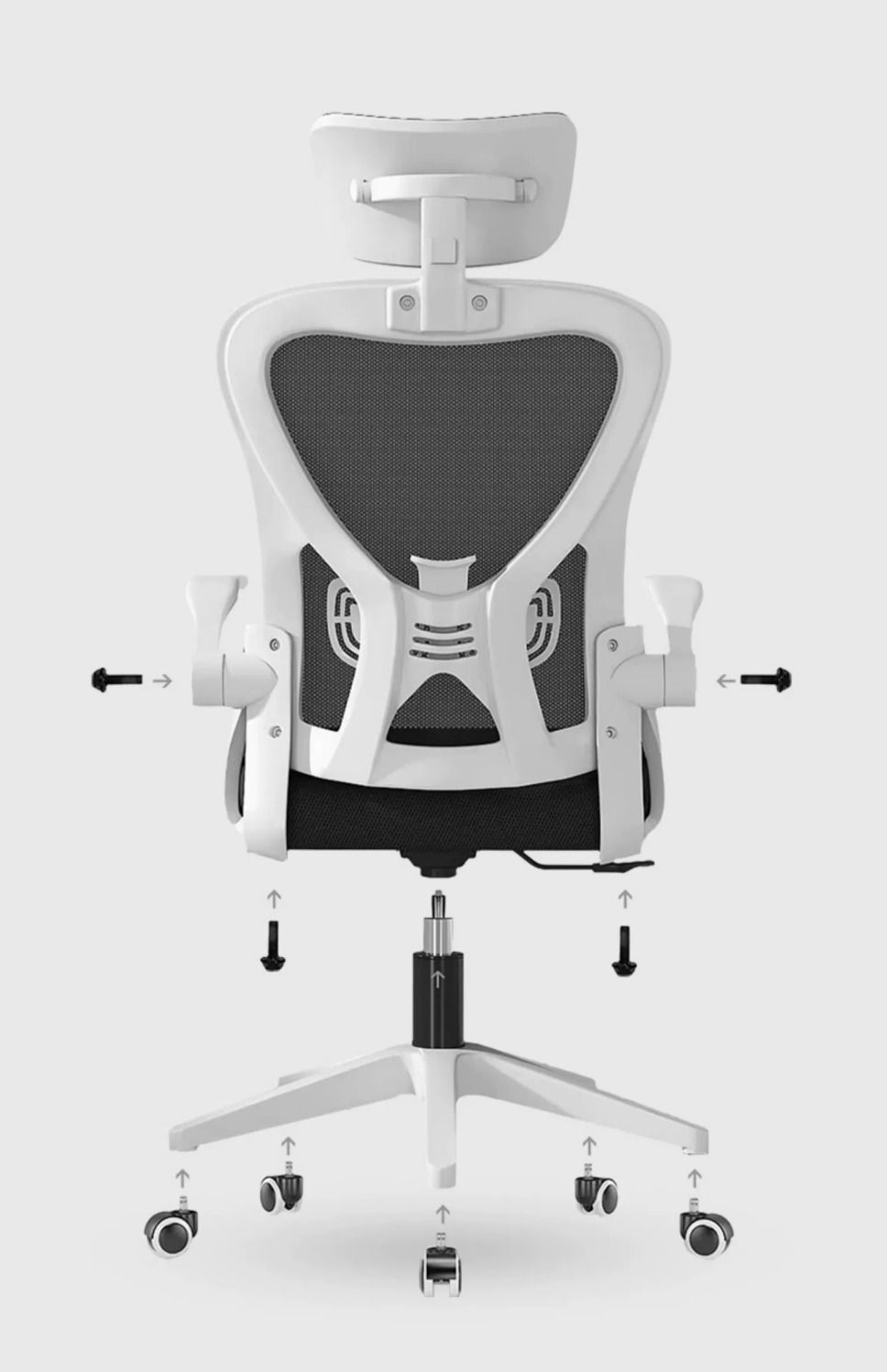 c54c99a2-c398-474d-be56-9a6ba0dfb437.jpe