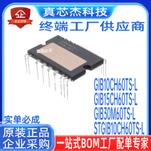 ȫ��GIB10CH60TS-L GIB15CH60TS-L GIB30M60TS-L STGIB10CH60TS-L