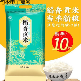 �|������10���峣����2023������5kg����ؕ���L������׈A����5��