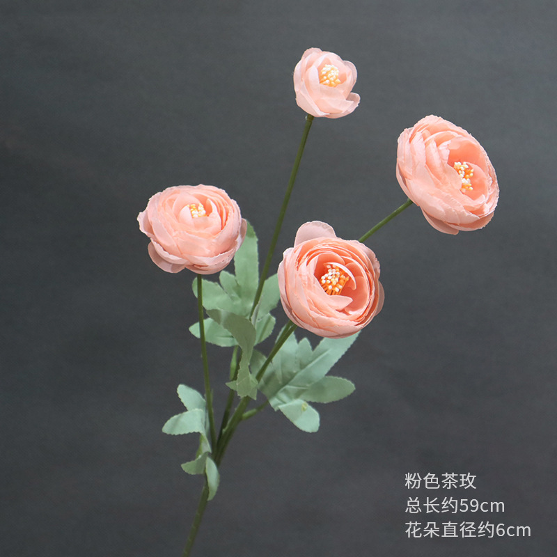핑크 티 로즈