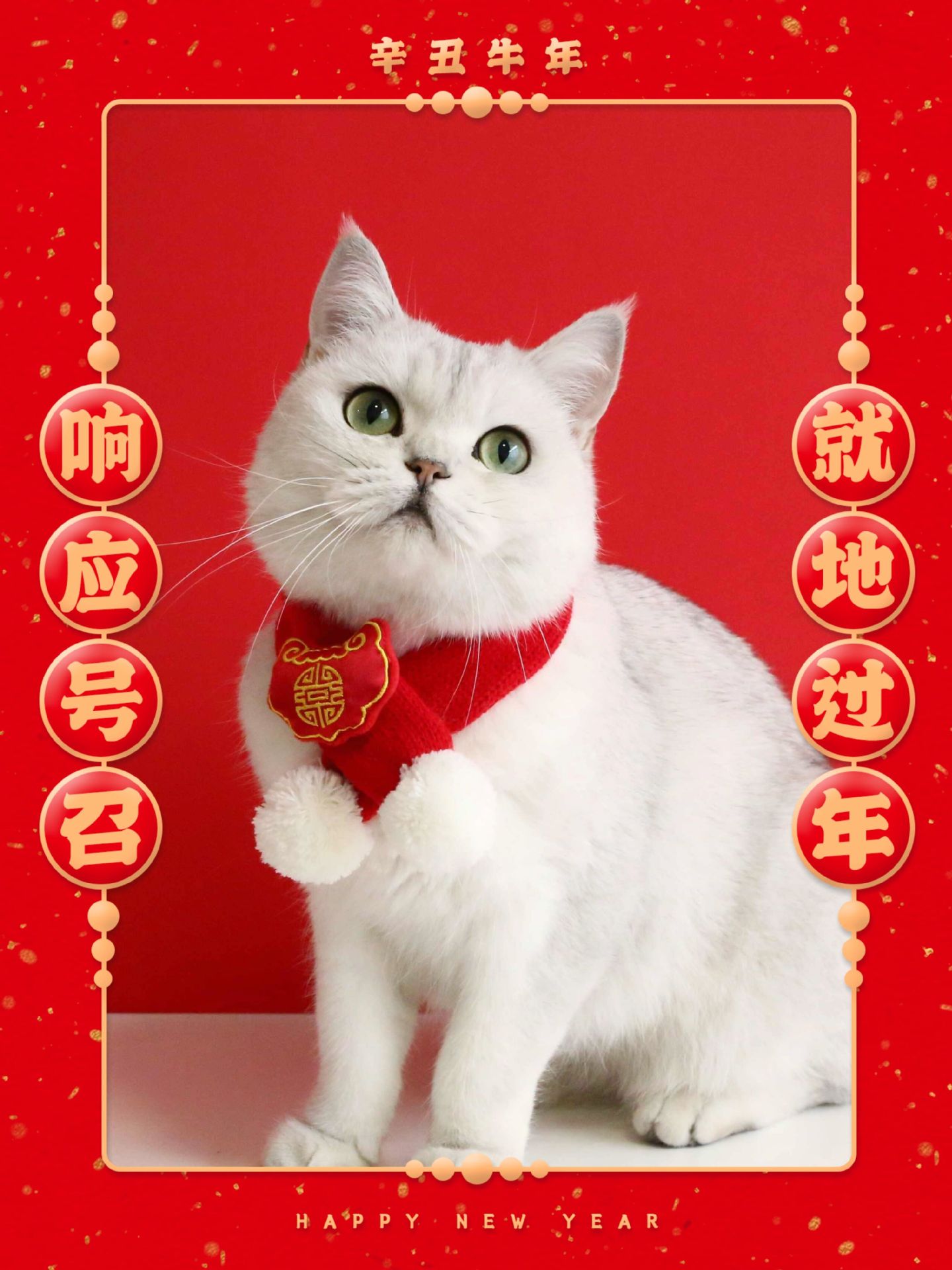 QQ图片20211118153046